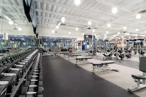 Fitness 19 Profile Picture