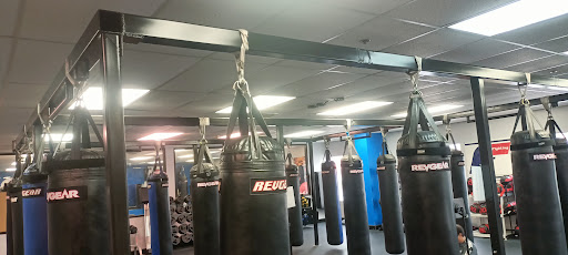DyAMic Mixed Martial Arts Profile Picture