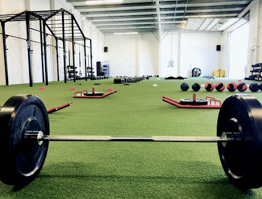 Apex Fitness NW Profile Picture