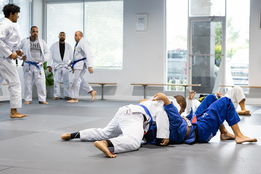 ALLIANCE JIU JITSU MARTIAL ARTS Profile Picture