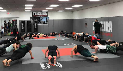Teixeira MMA & Fitness Profile Picture