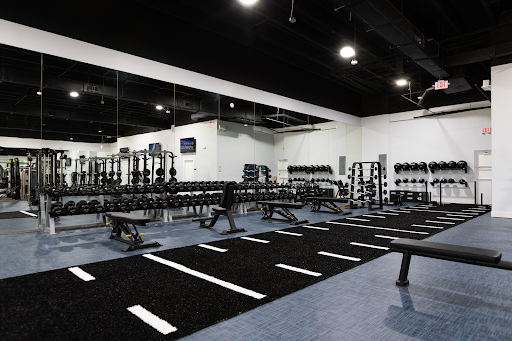 The Ave Luxe Gym Profile Picture