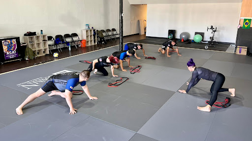 Academy of CAMpions Jiu Jitsu Profile Picture