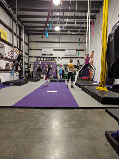 Aerial Fit Profile Picture