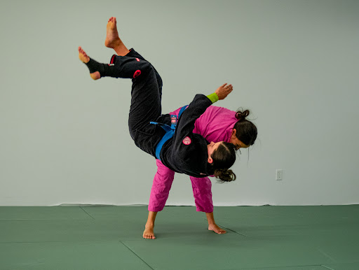 Virtus Brazilian Jiu Jitsu Profile Picture