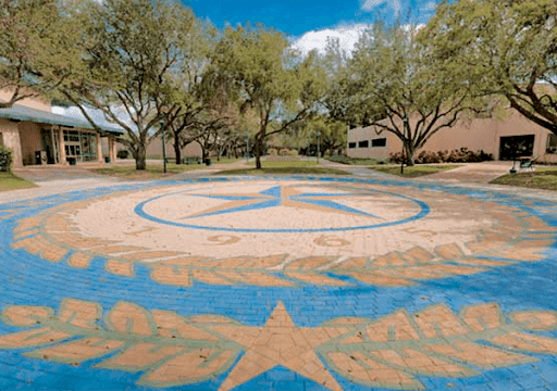 TSTC - Harlingen  Wellness And Sports Center Profile Picture