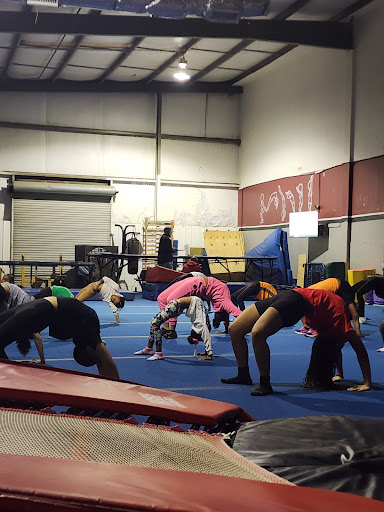Flip City South Tumblers Profile Picture