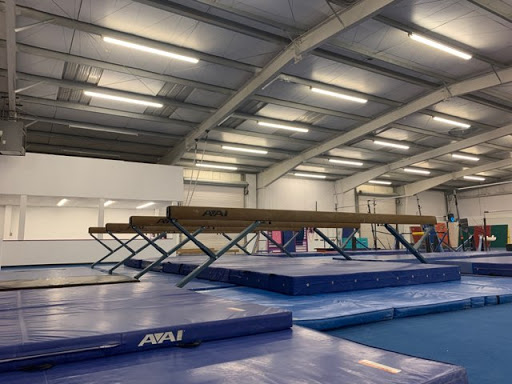 Savage Elite Gymnastics Profile Picture