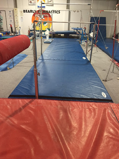Northeast Gymnastics Academy Profile Picture