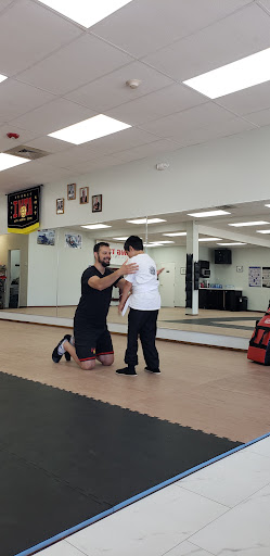 Wing Tsun Martial Arts Profile Picture