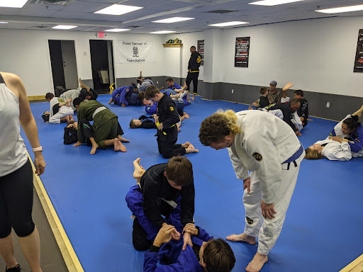 TAM Kalista martial arts Profile Picture