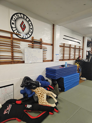 Ginsberg Academy BJJ Profile Picture