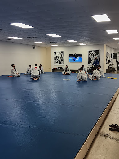 Gracie Barra Aventura Brazilian Jiu Jitsu & Self Defense Profile Picture