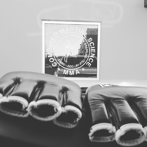 Gallery Items