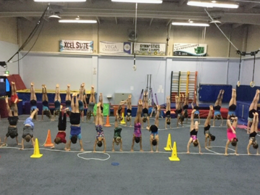 Vancouver Elite Gymnastics Academy VEGA Profile Picture