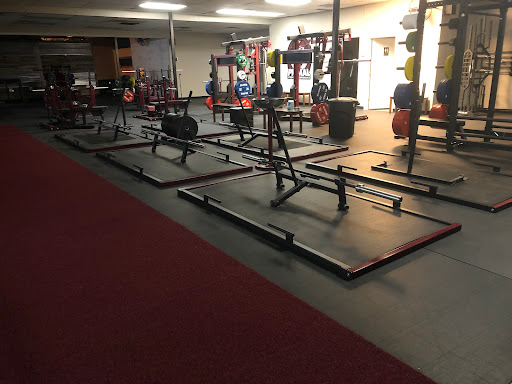 Primal Strength & Performance - Strength Training Gym Profile Picture
