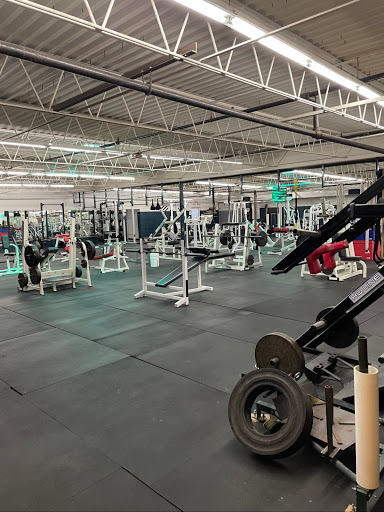 Quest Wellness and Athletics Profile Picture