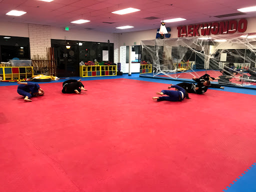 Prisma Brazilian Jiu-Jitsu by Leandro Vieira Profile Picture