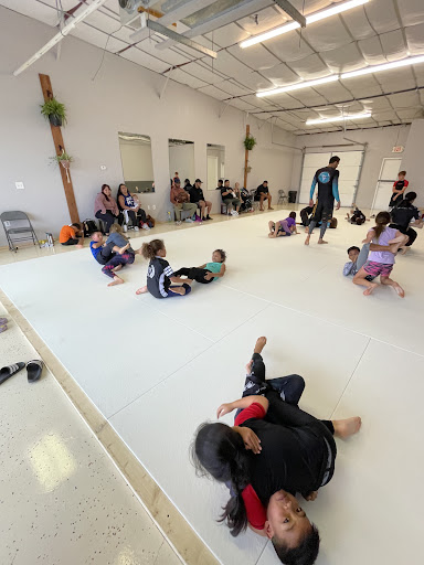 Free World Jiu Jitsu Profile Picture