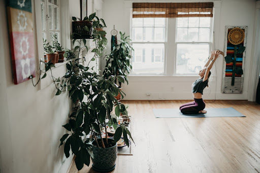 Kind Roots Yoga & Massage Profile Picture
