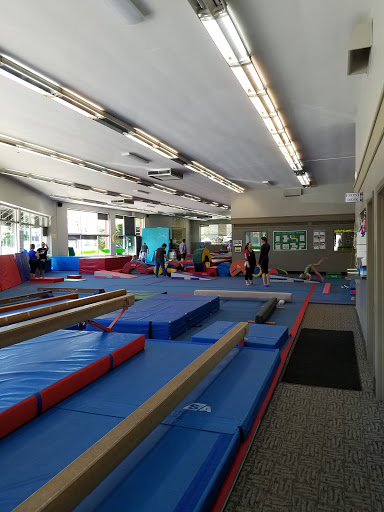 The Children\'s Gym Profile Picture