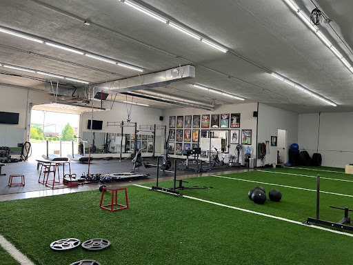 Major Sports Performance Profile Picture