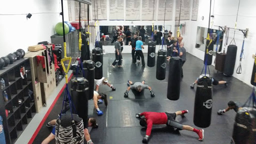 Downers Grove Boxing & Martial Arts LLC. Profile Picture