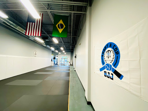 SUMMIT FIGHT BJJ | Daytona Beach Profile Picture