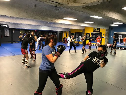 Dojo 1 Martial Arts Academy Profile Picture
