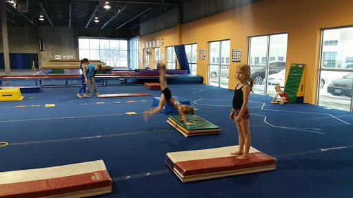 Sapphire Gymnastics Academy Profile Picture