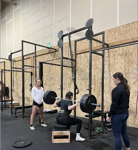 OC Sports Performance Profile Picture