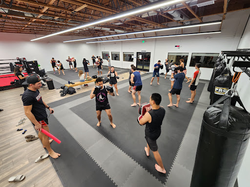 Vital Force Muay Thai & MMA Profile Picture