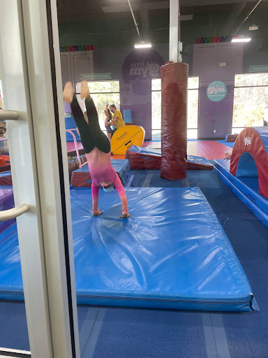 The Little Gym of North Raleigh/Wake Forest Profile Picture