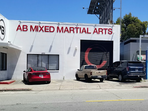 AB Mixed Martial Arts Academy Profile Picture