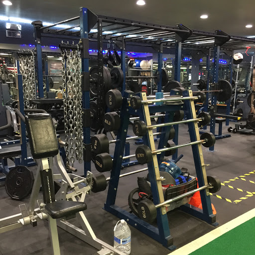 Xtrength Fitness Profile Picture