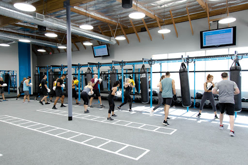 CLASS UFC GYM Munster Profile Picture