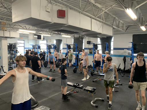 Viking Performance Training LLC Profile Picture