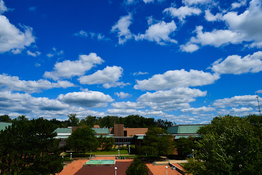 Lorain County Community College Profile Picture