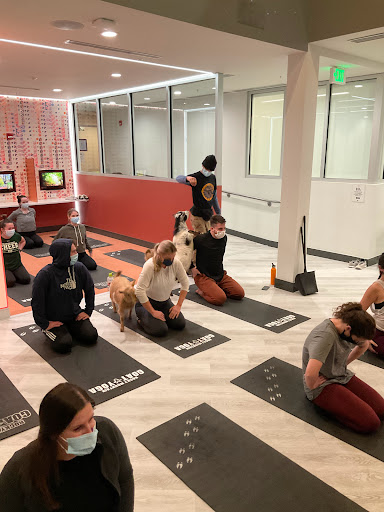 Rocky Mountain Goat Yoga  LLC Profile Picture