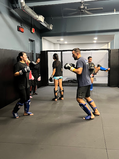 MANIFEST MMA GYM (Jiu Jitsu  Muay Thai) Profile Picture