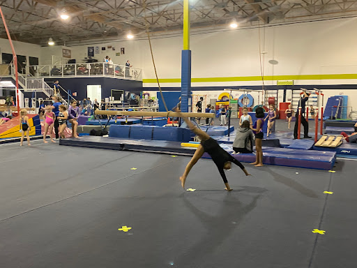 Alpha Gymnastics Profile Picture