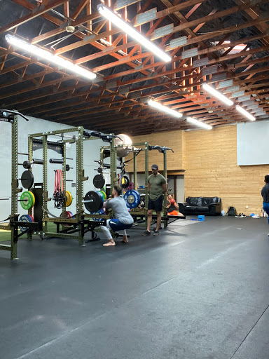 Optimal Athlete Kollective Sports Profile Picture