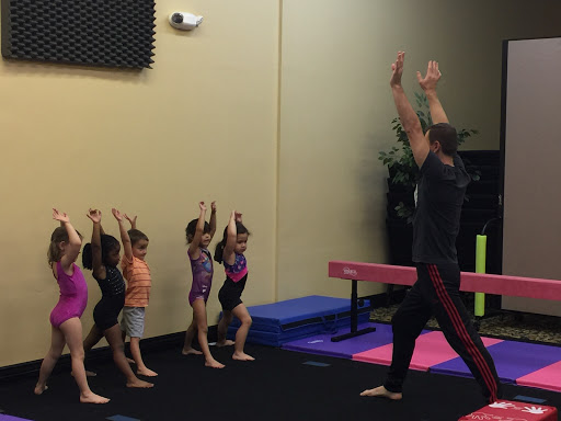 Gymnastics Palace LLC Profile Picture