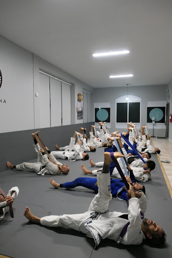 Cobrinha Brazilian Jiu Jitsu Puerto Rico Profile Picture