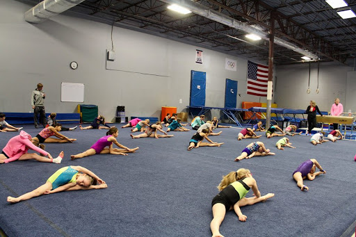 DyAMic Gymnastics Profile Picture