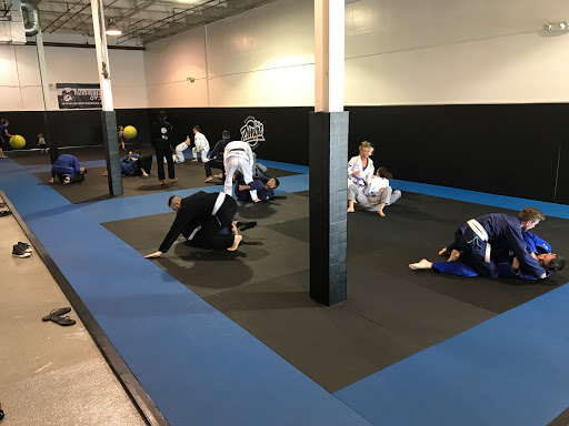 Zombie Brazilian Jiu-Jitsu and MMA Profile Picture