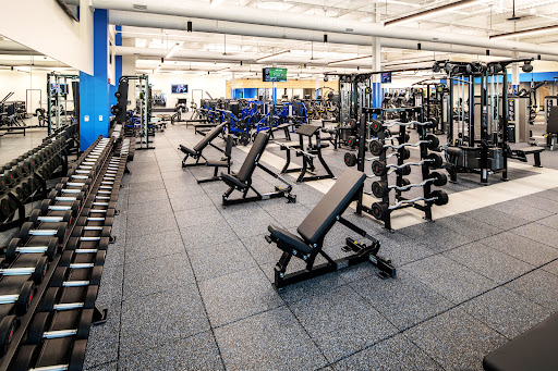Lourdes Health & Fitness Profile Picture