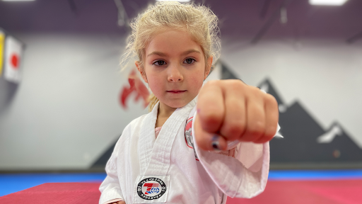 Everest Taekwondo Troy | Martial Arts & Fitness Center Profile Picture