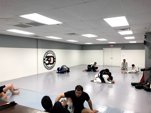 3D MMA Brazilian Jiu Jitsu Profile Picture