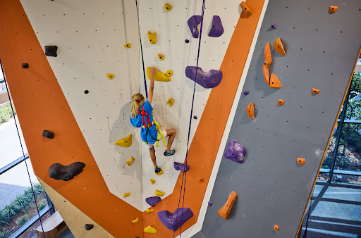 ROX Climbing Gym at LNPC Profile Picture